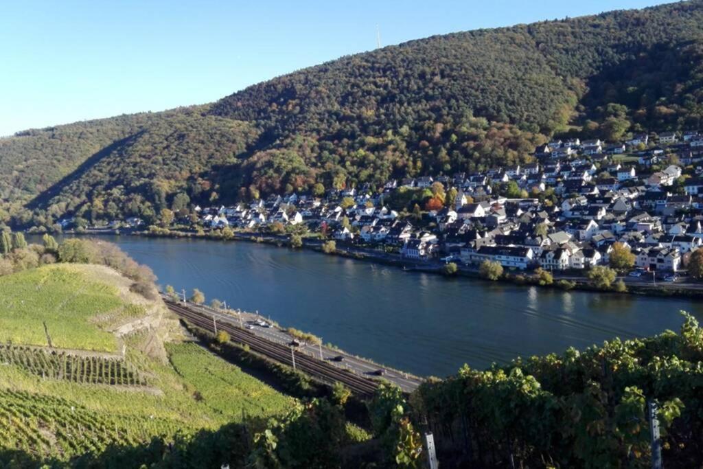 Ferienhaus Chalet Marc Am Moselbogen Villa โคเบลนซ์ ภายนอก รูปภาพ